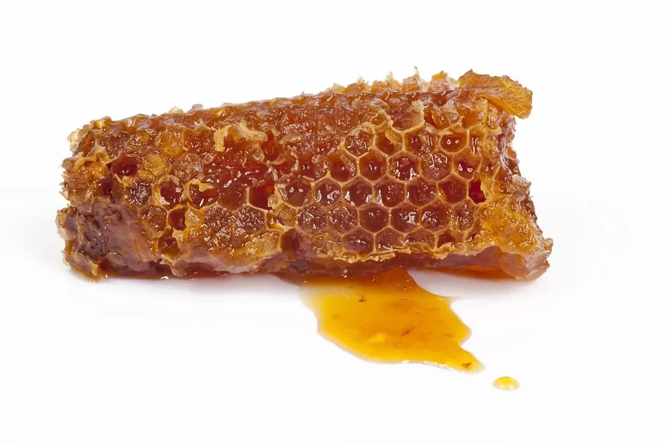 Mastering Honey Production: 10 Essential Tips for Maximizing Your