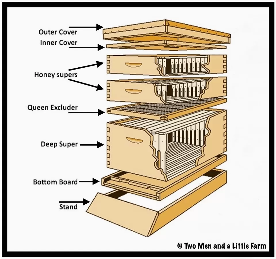 Decoding Beehive Components: Understanding Beekeeping Equipment - The 