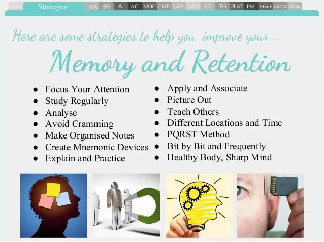 enhancing bee memory strategies to improve knowledge retention in 1