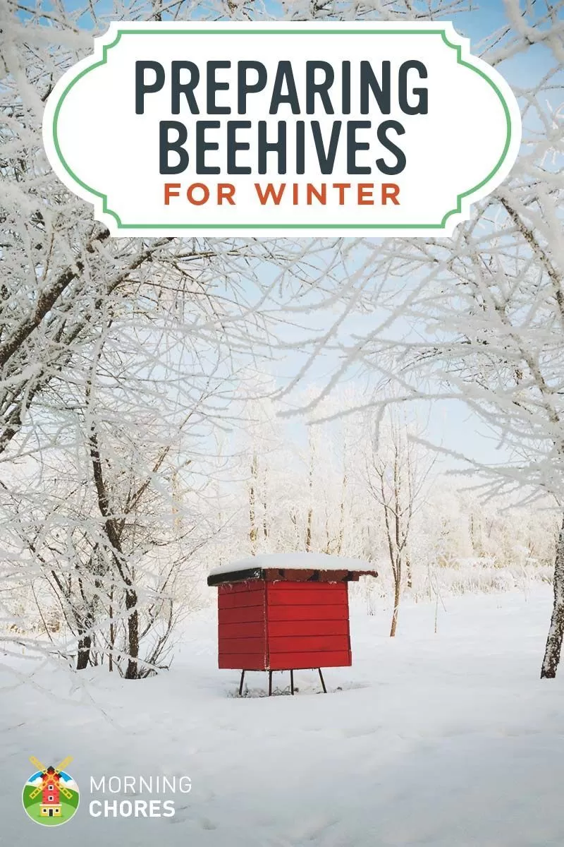 exploring best practices for wintering bees a comprehensive guide