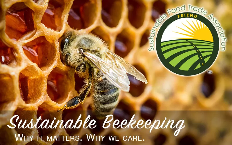 sustainable beekeeping key factors for long term economic success