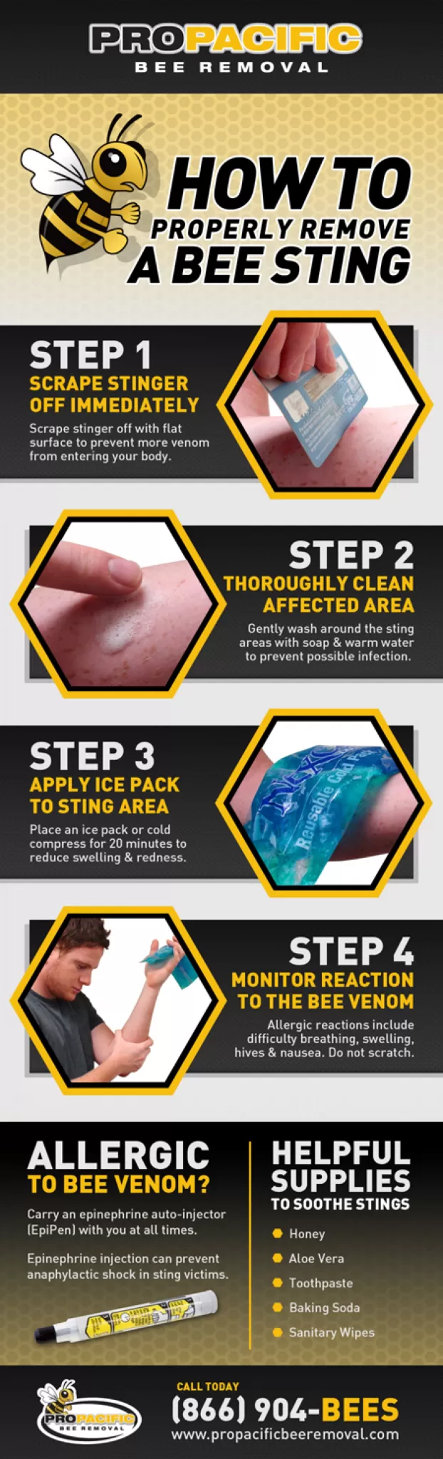 the ultimate guide to bee sting treatment what to do and what not to