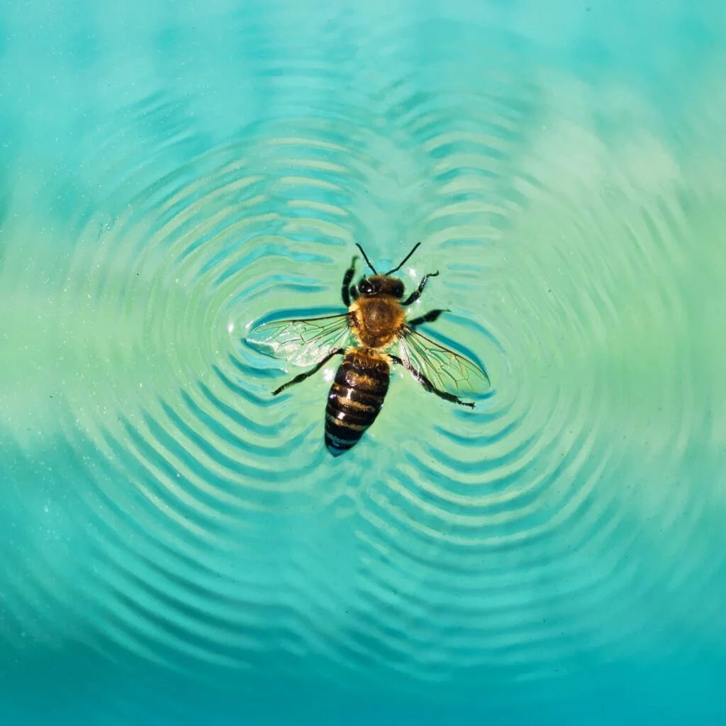 Can Bees Survive in Water?