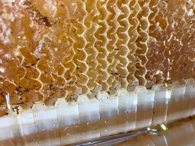 How Does A Beehive Work As A System?