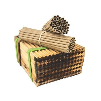 Wild Bee Cardboard BeeTubes - 4mm