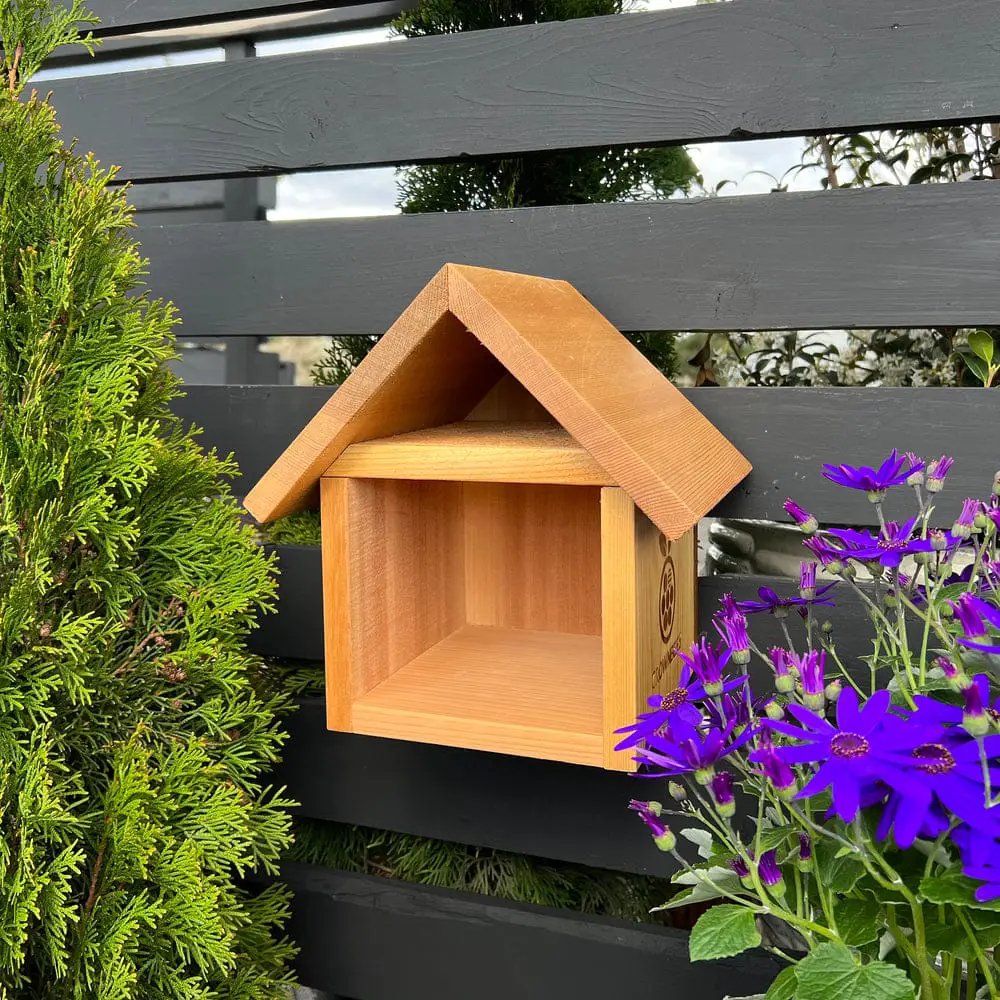 Chalet Bee House