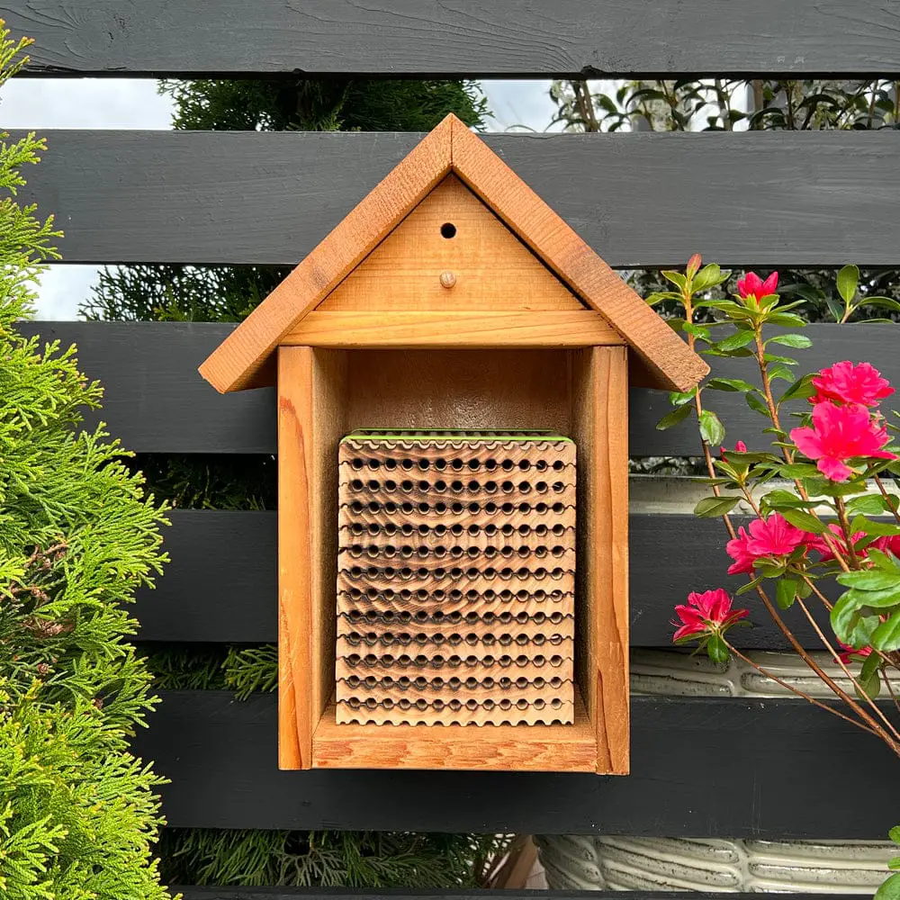 Summer Wood Trays for Leafcutter Bees