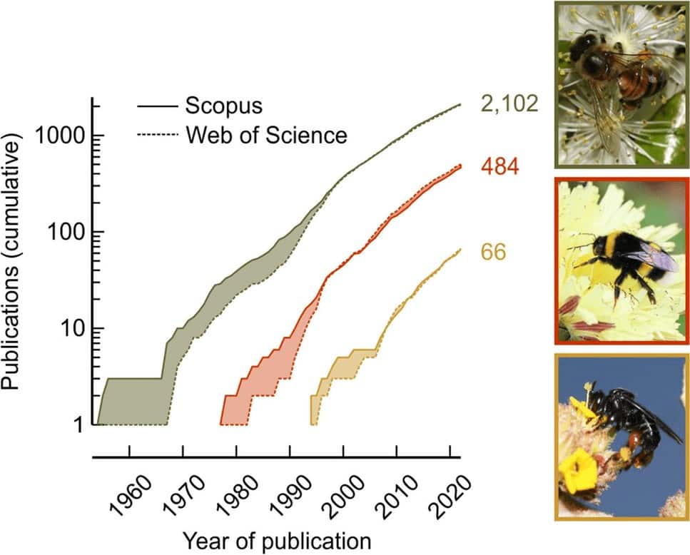 Honeybee Cognition: Insights Into Learning and Memory